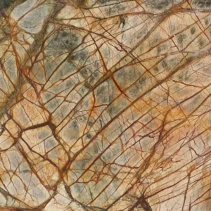 Rain Forest Brown Marble