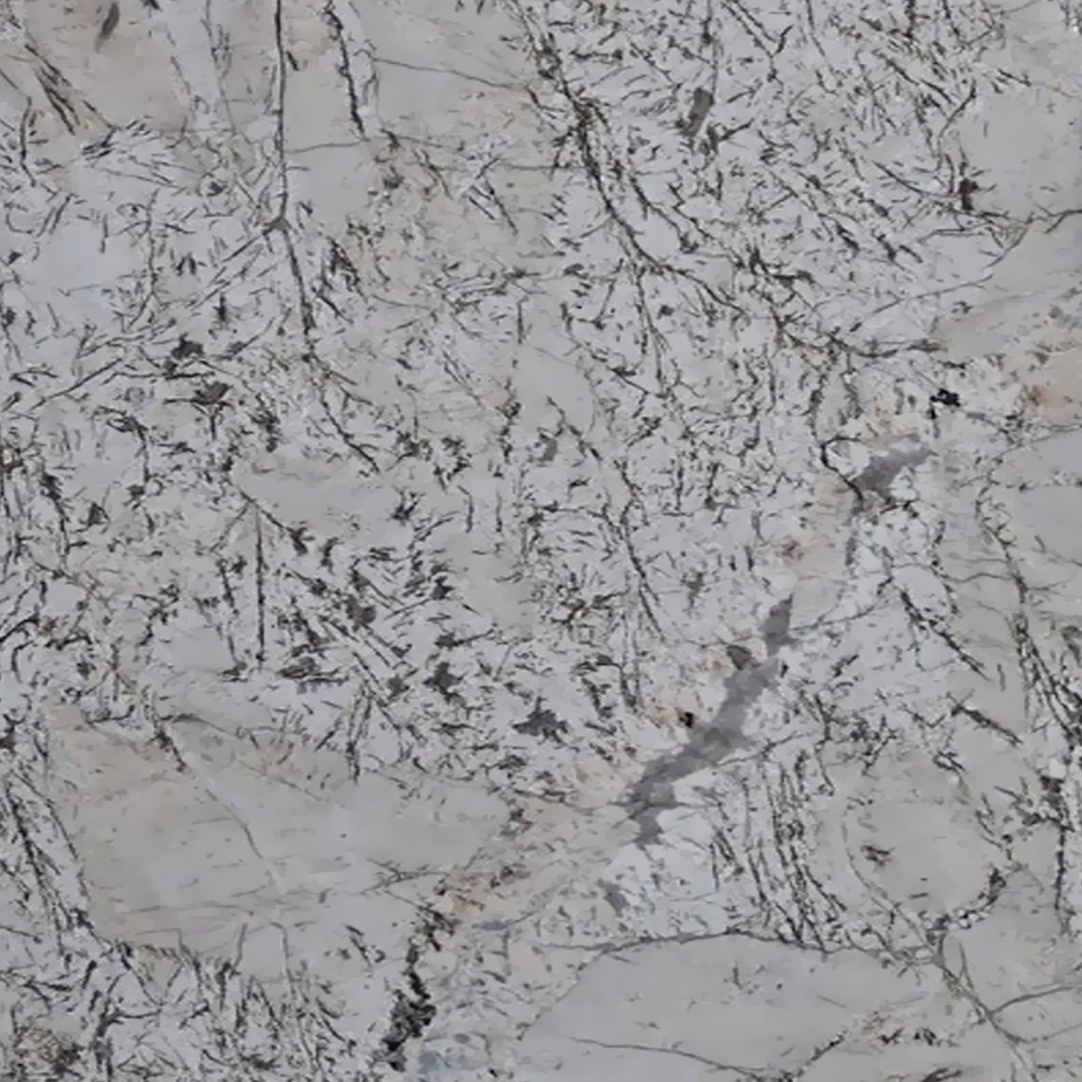 Bianco White Granite