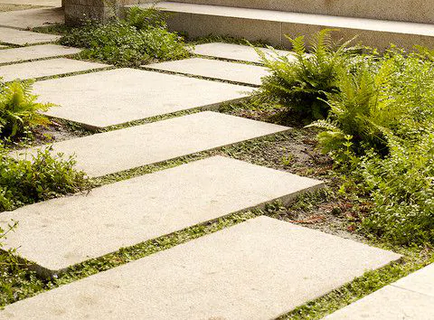 Garden Limestone paving